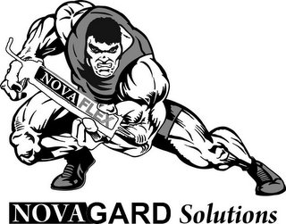 NOVAFLEX SILICONE NOVAGARD SOLUTIONS