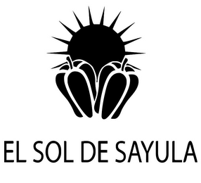 EL SOL DE SAYULA