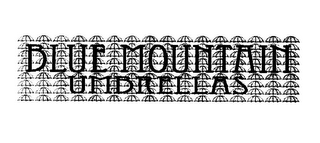 BLUE MOUNTAIN UMBRELLA