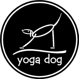 YOGA DOG