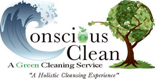 CONSCIOUS CLEAN A GREEN CLEANING SERVICE "A HOLISTIC CLEANSING EXPERIENCE"