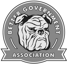 BETTER GOVERNMENT ASSOCIATION