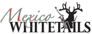 MEXICO WHITETAILS