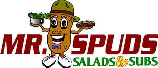 MR. SPUDS SALADS & SUBS