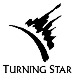 TURNING STAR