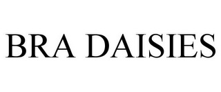 BRA DAISIES