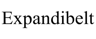 EXPANDIBELT