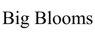 BIG BLOOMS