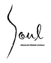 SOUL BRAZILIAN PREMIUM CACHACA