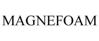 MAGNEFOAM