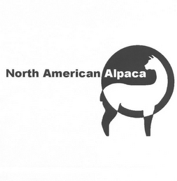 NORTH AMERICAN ALPACA