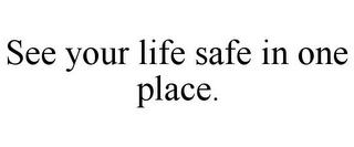 SEE YOUR LIFE SAFE IN ONE PLACE.