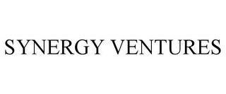 SYNERGY VENTURES