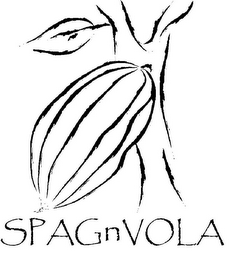 SPAGNVOLA