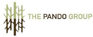 THE PANDO GROUP