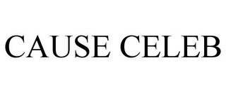 CAUSE CELEB