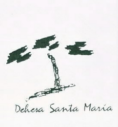 DEHESA SANTA MARIA