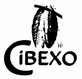 CIBEXO