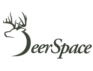 DEERSPACE