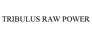 TRIBULUS RAW POWER