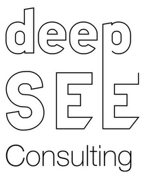 DEEP SEE CONSULTING