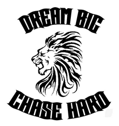 DREAM BIG CHASE HARD