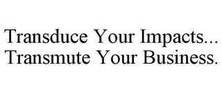 TRANSDUCE YOUR IMPACTS... TRANSMUTE YOUR BUSINESS.