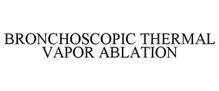 BRONCHOSCOPIC THERMAL VAPOR ABLATION