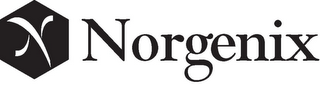 N NORGENIX