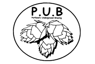 P.U.B PORTLAND'S UNDERGROUND BREWING