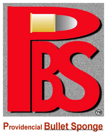 PBS PROVIDENCIAL BULLET SPONGE