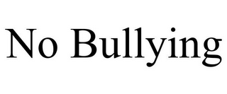 NO BULLYING