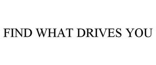 FIND WHAT DRIVES YOU