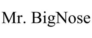MR. BIGNOSE