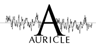 A AURICLE