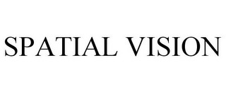 SPATIAL VISION