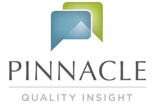 PINNACLE QUALITY INSIGHT