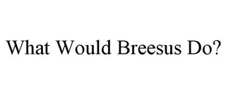 WHAT WOULD BREESUS DO?