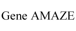 GENE AMAZE