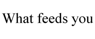 WHAT FEEDS YOU