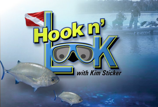 HOOK N' LOOK WITH KIM STICKER