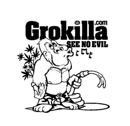GROKILLA .COM SEE NO EVIL