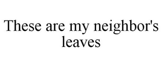 THESE ARE MY NEIGHBOR'S LEAVES