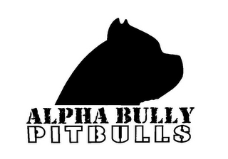 ALPHA BULLY PITBULLS