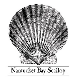 NANTUCKET BAY SCALLOP