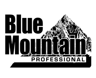 BLUE MOUNTAIN PROFESSIONAL