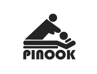 PINOOK