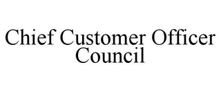 CHIEF CUSTOMER OFFICER COUNCIL