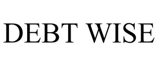 DEBT WISE