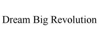 DREAM BIG REVOLUTION